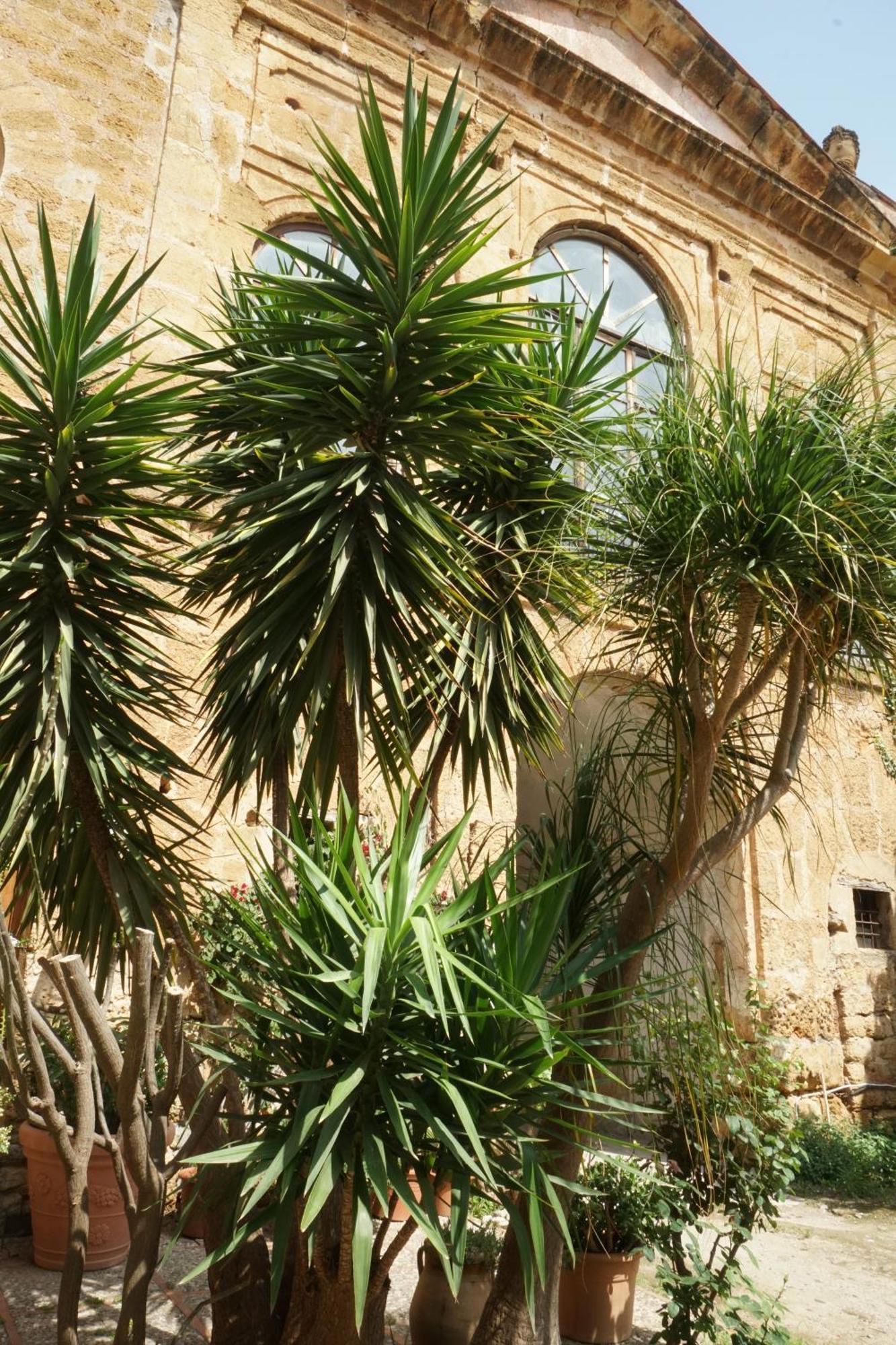 Room In Villa Galletti Inguaggiato Μπαγκερία Εξωτερικό φωτογραφία