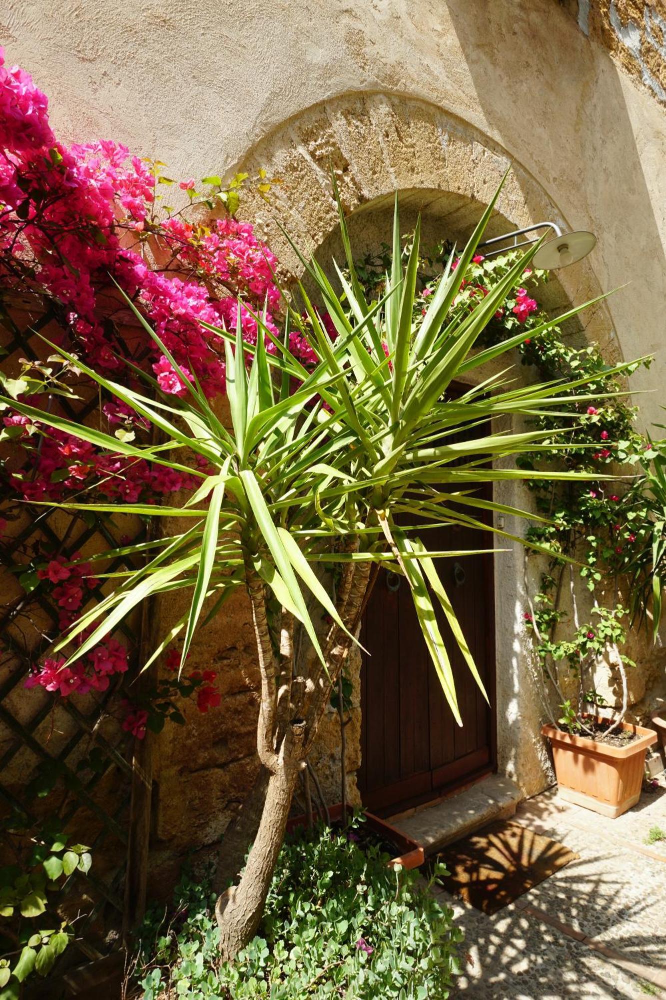 Room In Villa Galletti Inguaggiato Μπαγκερία Εξωτερικό φωτογραφία